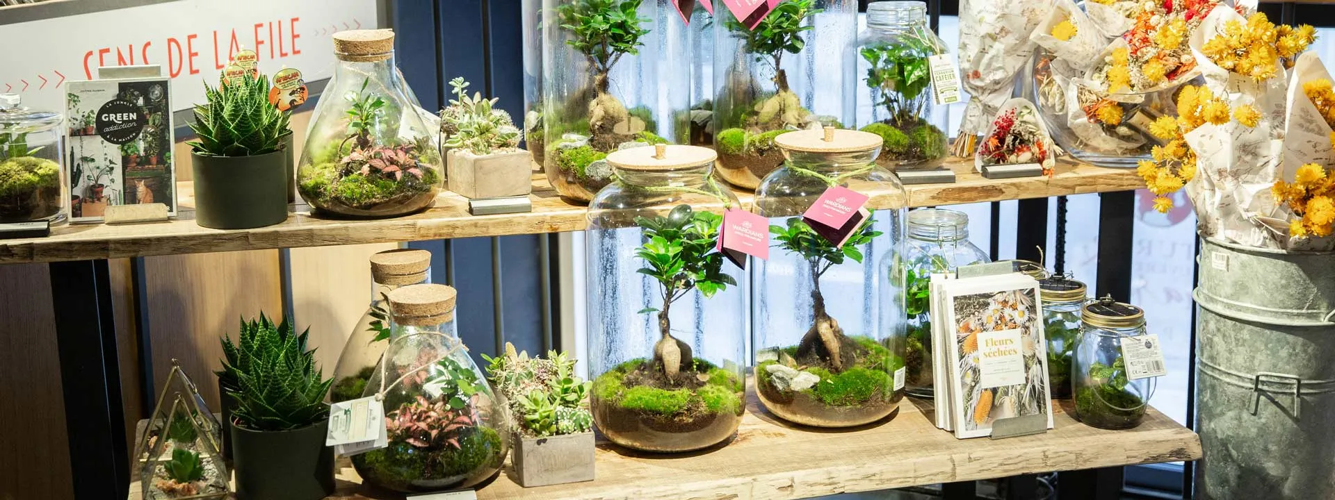 L'intégration chez Nature & Découvertes